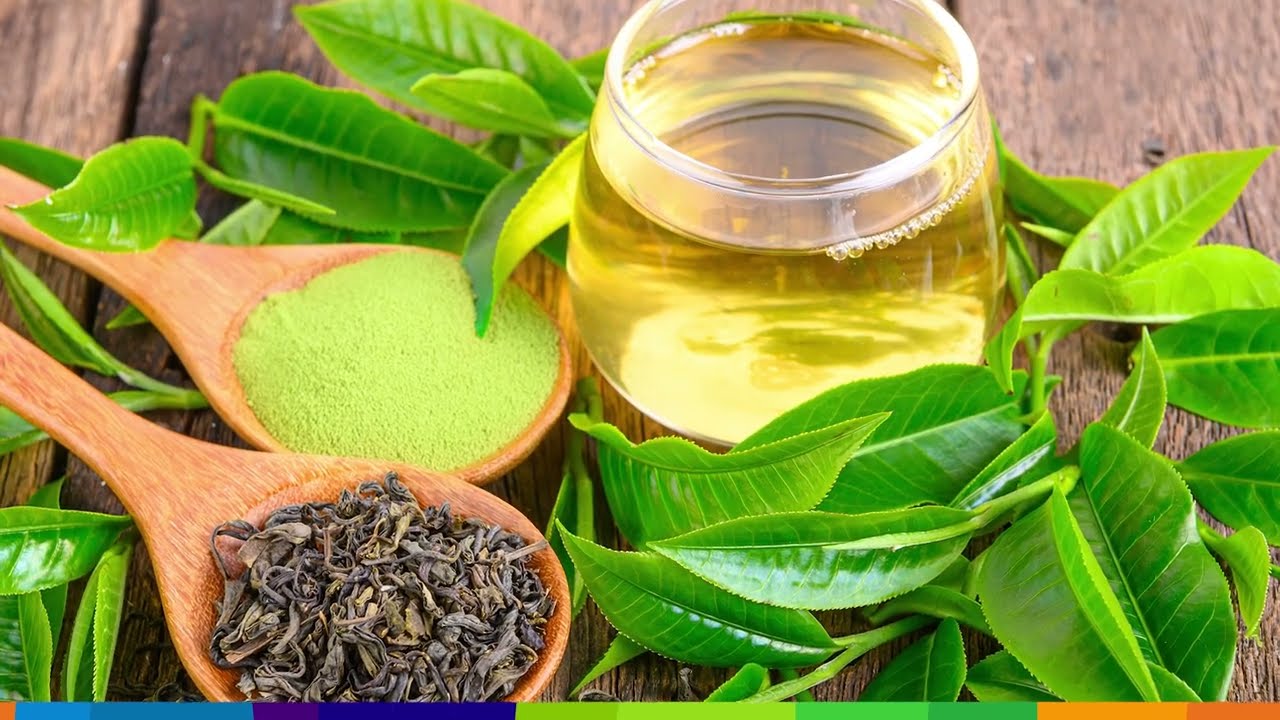 Ingredient Spotlight