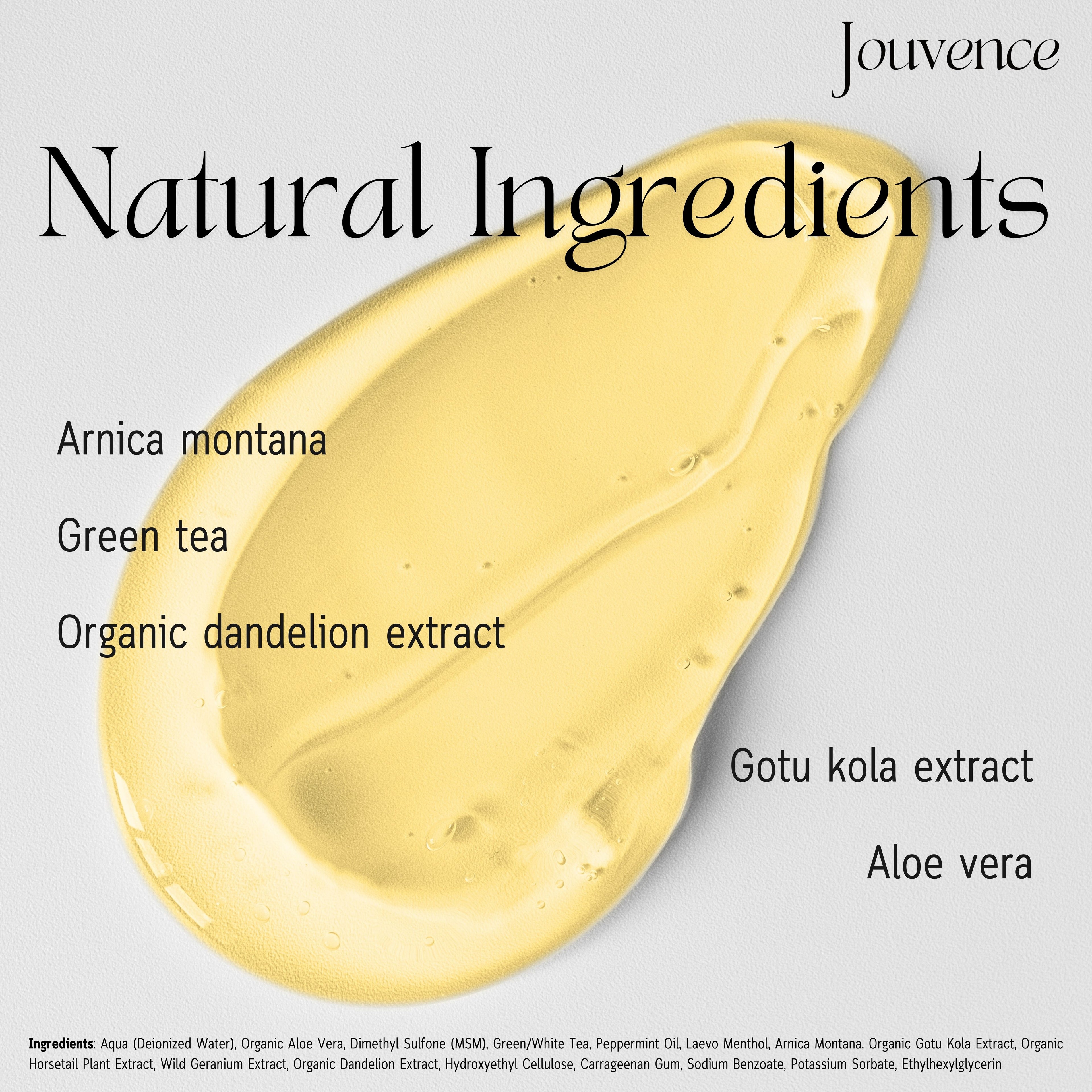 Arnica Recovery Gel